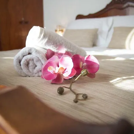 Magnolia Heaven Apartment